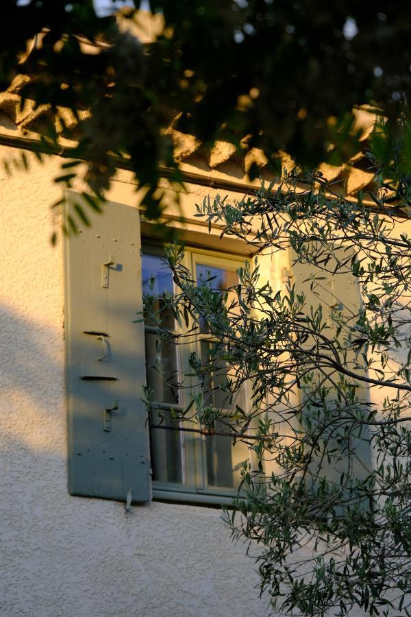 Domaine Le Bois Des Dames Bed & Breakfast Chantemerle-les-Grignan ภายนอก รูปภาพ