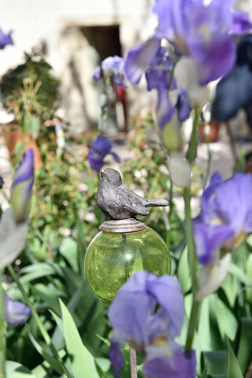 Domaine Le Bois Des Dames Bed & Breakfast Chantemerle-les-Grignan ภายนอก รูปภาพ